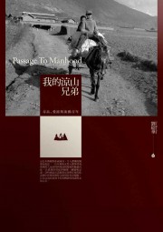 我的凉山兄弟：毒品、艾滋与流动青年