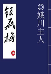 银瓶梅