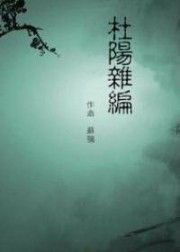杜阳杂编