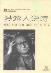 梦游人说诗