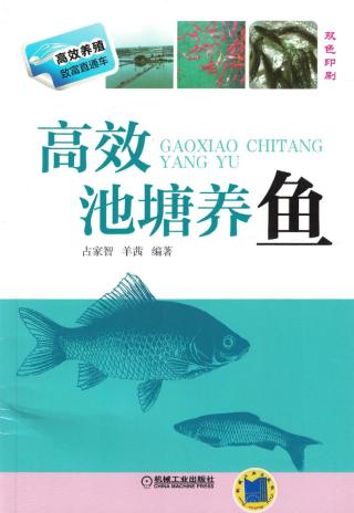 高效池塘养鱼