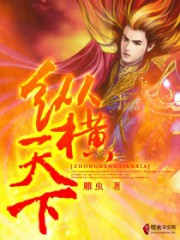 纵横天下系列