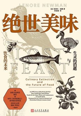 绝世美味