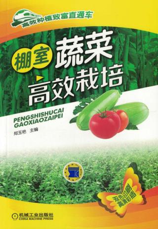 棚室蔬菜高效栽培