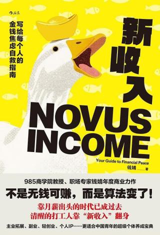 新收入：写给每个人的金钱焦虑自救指南