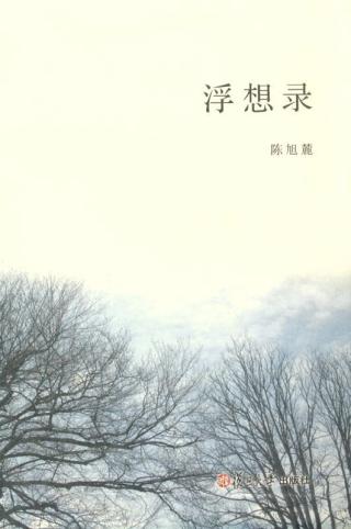 浮想录
