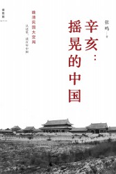 摇晃的中国