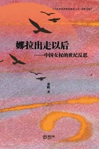 娜拉出走以后：中国女权的世纪反思