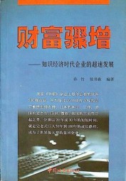 财富骤增：知识经济时代企业的超速发展