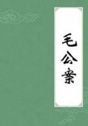 毛公案