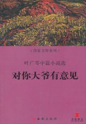 对你大爷有意见：叶广芩中篇小说选