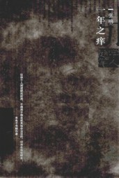 一年之痒