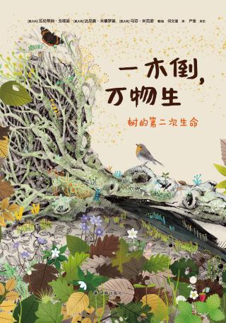 一木倒，万物生：树的第二次生命