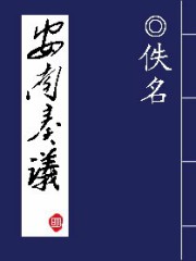 安南奏议