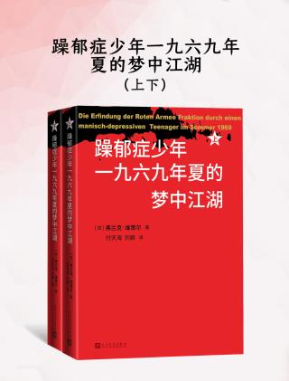 躁郁症少年一九六九年夏的梦中江湖