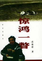 惊鸿一瞥
