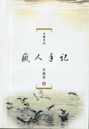 疯人手记