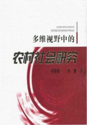多维视野中的农村社会研究