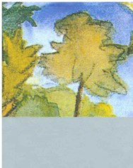 堤契诺之歌：散文、诗与画