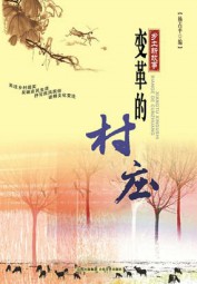 变革的村庄