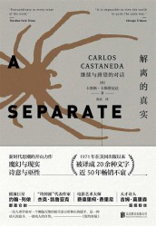 解离的真实：继续与唐望的对话