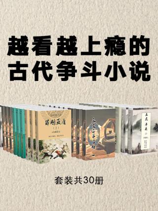古典文学必读：越看越上瘾的古代争斗小说【30册】