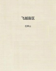飞越盲区