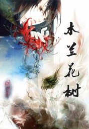木兰花树