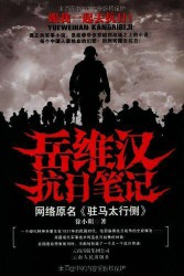 岳维汉抗日笔记