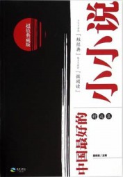 中国最好的小小说