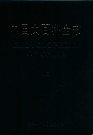 中国大百科全书【精粹版2册】