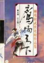 鹰扬天下