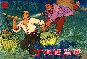 丁兴旺当家