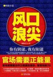 官场风口浪尖：你有阴谋，我有阳谋