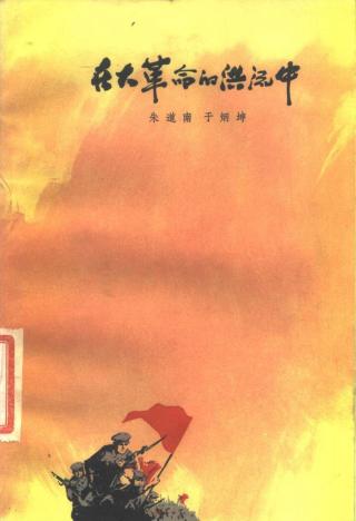 在大革命的洪流中