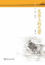 荒原上的阳光
