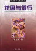 龙困与微行
