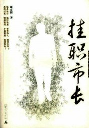 挂职市长