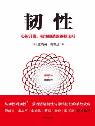 韧性：心智升维、韧性锻造的乘数法则