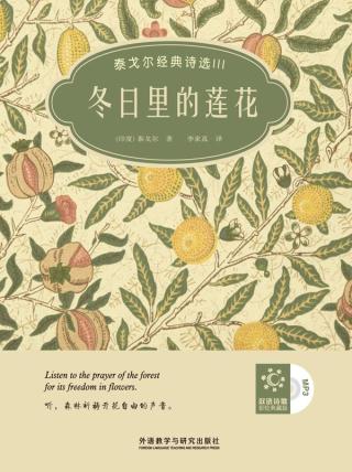 冬日里的莲花