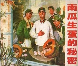 南瓜生蛋的秘密