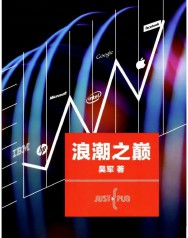 浪潮之巅