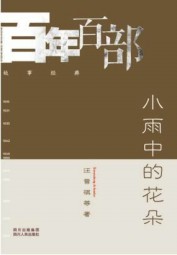小雨中的花朵