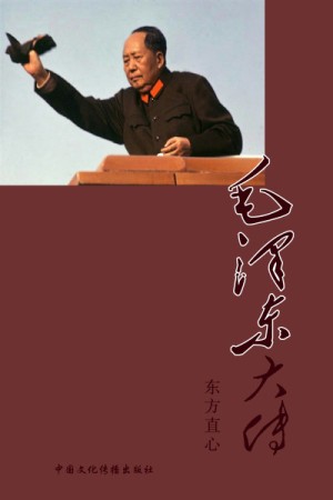 毛泽东大传【10册】