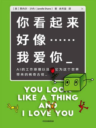 你看起来好像……我爱你：AI的工作原理以及它为这个世界带来的稀奇古怪
