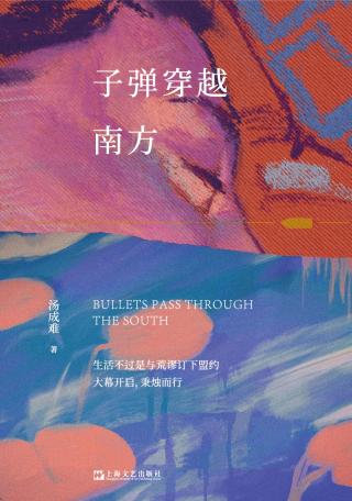 子弹穿越南方