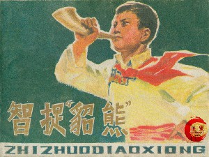 智捉貂熊