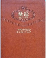 圣经 HOLY BIBLE 中英对照