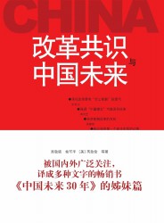 改革共识与中国未来