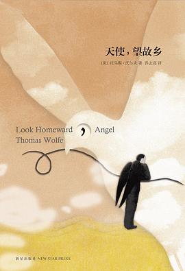 托马斯·沃尔夫系列【5册】